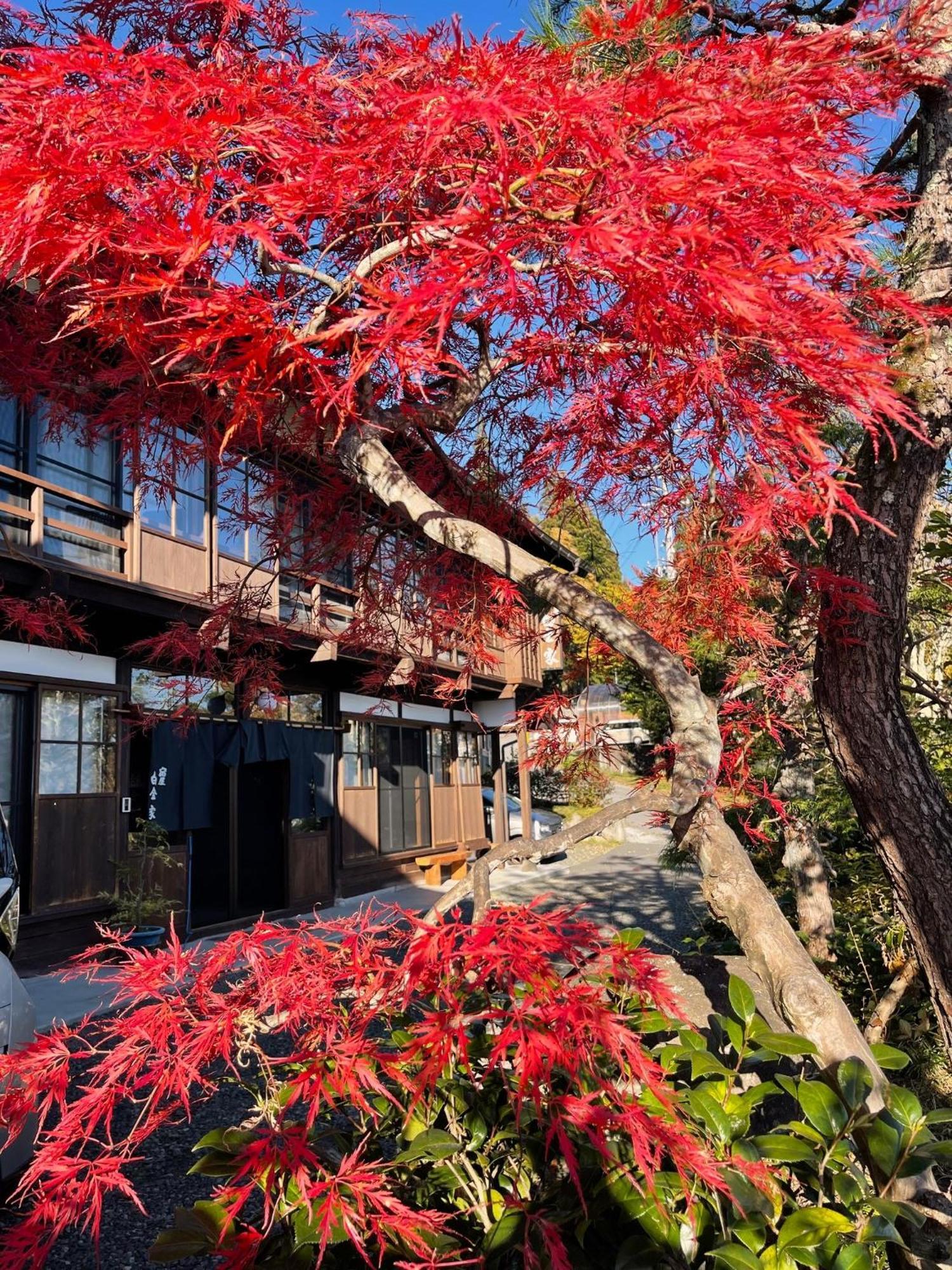 宿屋白金家 Yadoya-Shiroganeya 1日1組限定2名から8名様まで 全館貸切り 伝統的建造物の旅籠宿 Traditional Culture Experience Наґано Екстер'єр фото